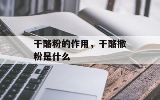 干酪粉的作用，干酪撒粉是什么