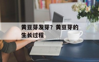 黄豆芽发芽？黄豆芽的生长过程