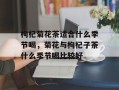 枸杞菊花茶适合什么季节喝，菊花与枸杞子茶什么季节喝比较好