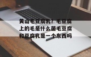 黄山毛豆腐乳？毛豆腐上的毛是什么菌毛豆腐和豆腐乳是一个东西吗