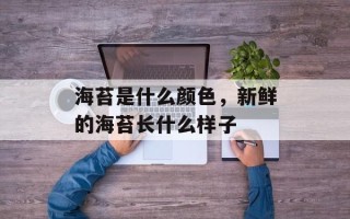 海苔是什么颜色，新鲜的海苔长什么样子