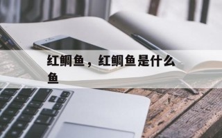 红鲷鱼，红鲷鱼是什么鱼