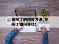 黄辣丁的饲养方法(黄辣丁如何养殖)