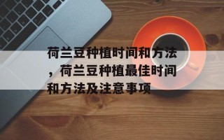 荷兰豆种植时间和方法，荷兰豆种植最佳时间和方法及注意事项