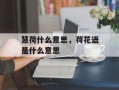 慧荷什么意思，荷花语是什么意思