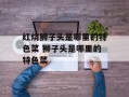 红烧狮子头是哪里的特色菜 狮子头是哪里的特色菜