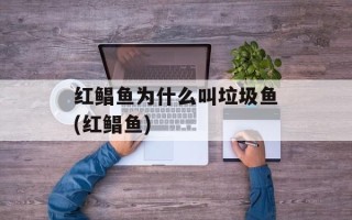红鲳鱼为什么叫垃圾鱼(红鲳鱼)