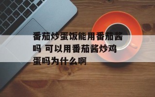 番茄炒蛋饭能用番茄酱吗 可以用番茄酱炒鸡蛋吗为什么啊