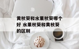黄秋葵和水果秋葵哪个好 水果秋葵和黄秋葵的区别