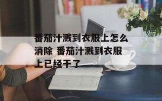 番茄汁溅到衣服上怎么消除 番茄汁溅到衣服上已经干了