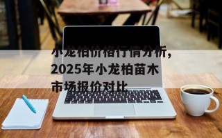 小龙柏价格行情分析,2025年小龙柏苗木市场报价对比