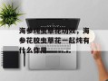 海参炖虫草花功效，海参花胶虫草花一起炖有什么作用
