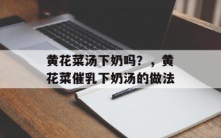 黄花菜汤下奶吗？，黄花菜催乳下奶汤的做法