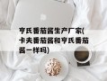 亨氏番茄酱生产厂家(卡夫番茄酱和亨氏番茄酱一样吗)