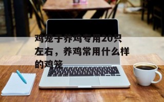 鸡笼子养鸡专用20只左右，养鸡常用什么样的鸡笼
