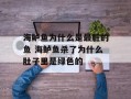 海鲈鱼为什么是最脏的鱼 海鲈鱼杀了为什么肚子里是绿色的