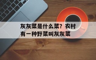 灰灰菜是什么菜？农村有一种野菜叫灰灰菜