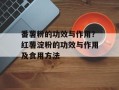 番薯粉的功效与作用？红薯淀粉的功效与作用及食用方法