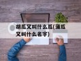 胡瓜又叫什么瓜(蒲瓜又叫什么名字)