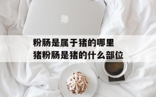 粉肠是属于猪的哪里 猪粉肠是猪的什么部位