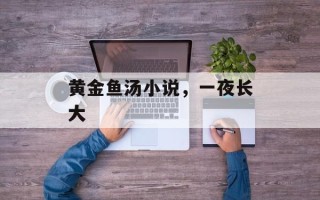 黄金鱼汤小说，一夜长大