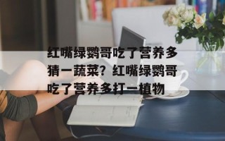 红嘴绿鹦哥吃了营养多猜一蔬菜？红嘴绿鹦哥吃了营养多打一植物