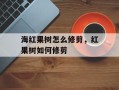 海红果树怎么修剪，红果树如何修剪