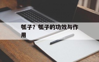 瓠子？瓠子的功效与作用