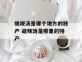 胡辣汤是哪个地方的特产 胡辣汤是哪里的特产