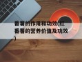 番薯的作用和功效(红番薯的营养价值及功效)