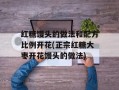 红糖馒头的做法和配方比例开花(正宗红糖大枣开花馒头的做法)