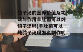 鸽子汤的营养价值及功效与作用羊肚菌可以炖鸽子汤吗(羊肚菌可以炖鸽子汤吗怎么制作呢)