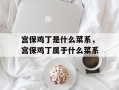 宫保鸡丁是什么菜系，宫保鸡丁属于什么菜系