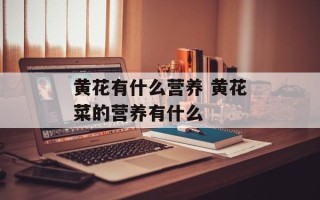 黄花有什么营养 黄花菜的营养有什么
