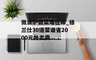微波炉做菜难在哪_格兰仕30道菜谱省2000元外卖费