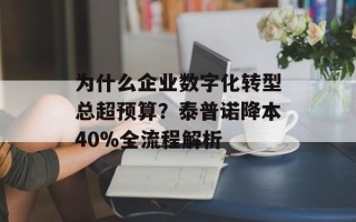 为什么企业数字化转型总超预算？泰普诺降本40%全流程解析
