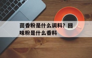 茴香粉是什么调料？回味粉是什么香料