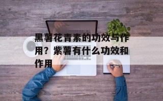 黑薯花青素的功效与作用？紫薯有什么功效和作用