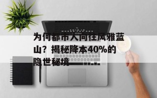 为何都市人向往风雅蓝山？揭秘降本40%的隐世秘境
