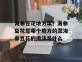 海参豆花地方菜？海参豆花是哪个地方的菜海参豆花的做法是什么