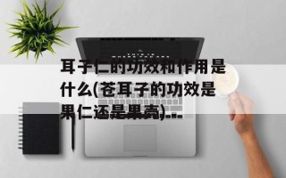 耳子仁的功效和作用是什么(苍耳子的功效是果仁还是果壳)