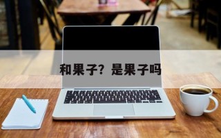 和果子？是果子吗