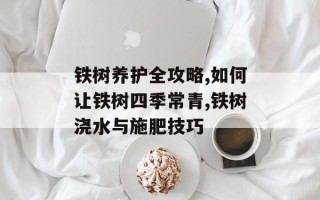 铁树养护全攻略,如何让铁树四季常青,铁树浇水与施肥技巧
