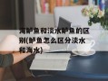 海鲈鱼和淡水鲈鱼的区别(鲈鱼怎么区分淡水和海水)