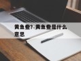 黄鱼鲞？黄鱼鲞是什么意思