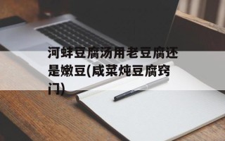 河蚌豆腐汤用老豆腐还是嫩豆(咸菜炖豆腐窍门)