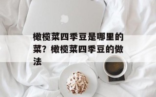 橄榄菜四季豆是哪里的菜？橄榄菜四季豆的做法