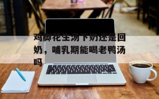 鸡脚花生汤下奶还是回奶，哺乳期能喝老鸭汤吗