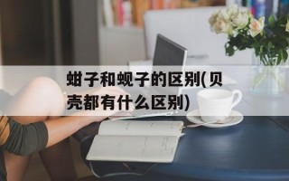 蚶子和蚬子的区别(贝壳都有什么区别)