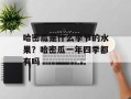 哈密瓜是什么季节的水果？哈密瓜一年四季都有吗